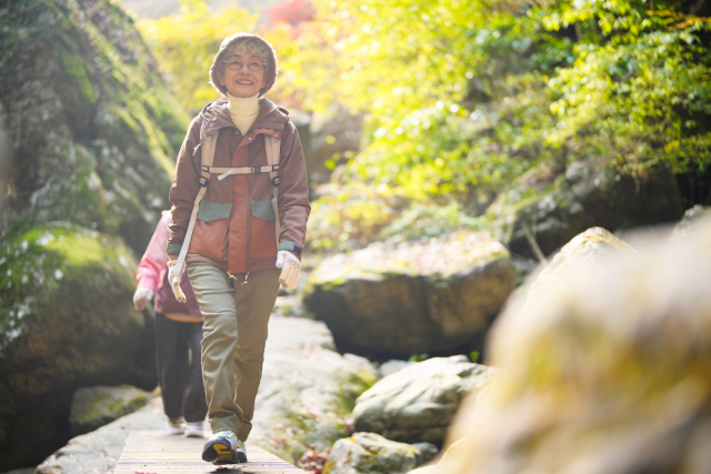 おひとり様でも「自分らしい最期」は準備できる？後悔しない人生の終い方ガイド